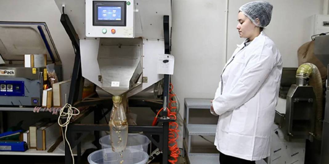 23 yaşında patronlukla tanıştı! 3 farklı şekilde işliyor: Geleceğe yatırım yapıyor 2